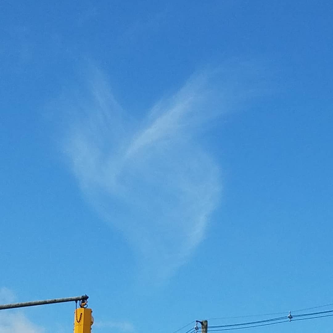 Check out this cloud from this morning. I don’t think it needs any explanation. Do you? My heart is filled. .
.
When we are aware of our inner and outer surroundings magic can happen, and you can receive signs without looking.

Do you get signs?  Share your pictures or experience in the comments section.

With love and appreciation 
Laura

www.laurahealingwithspirit.com