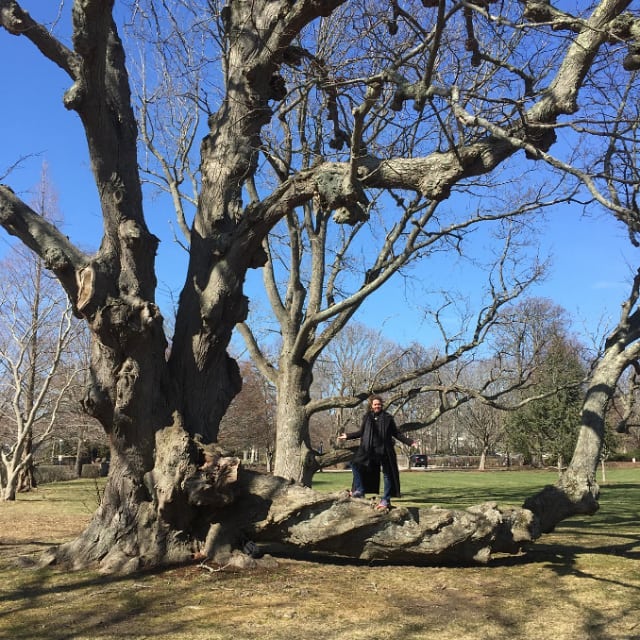 Here is some mega tree medicine. 
When energies around me stir my insides, I turn to one of the best medicines of all… nature. .
.
That branch I’m standing on btw is a live branch. 
What makes your soul smile? .
.
www.laurahealingwithspirit.com